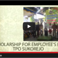 Video Annual Report